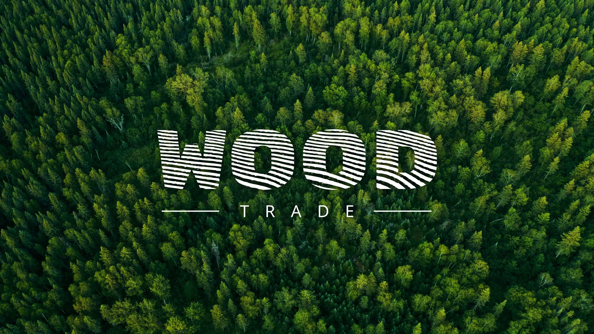 Разработка интернет-магазина компании «Wood Trade» в Камызяке